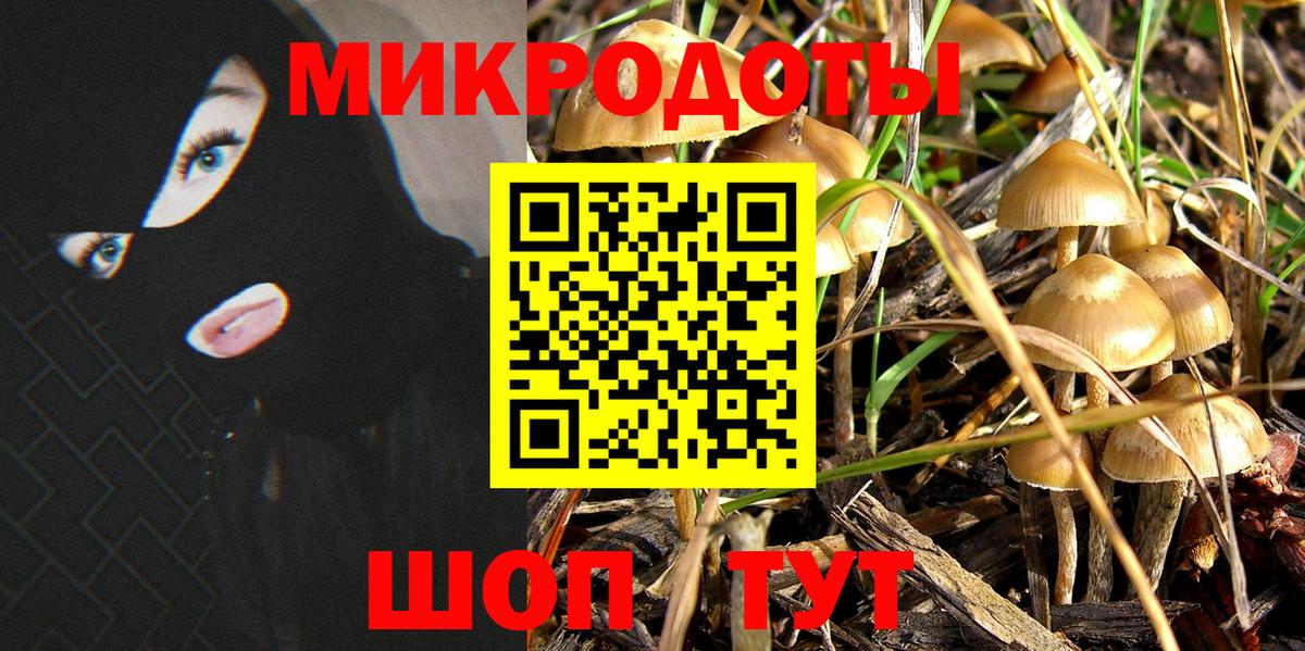 Псилоцибиновые грибы Psilocybine cubensis  Вход с VPN  Малоярославец 